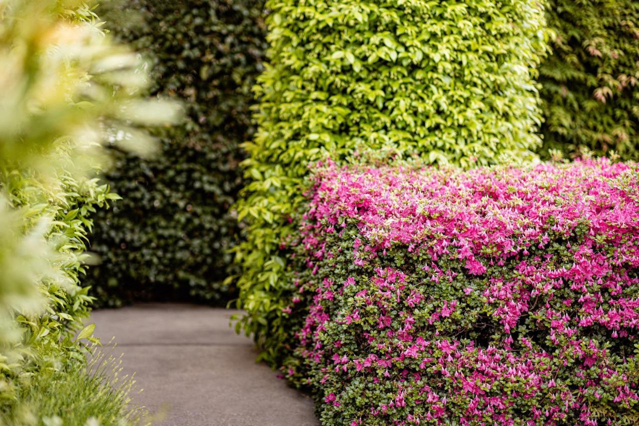 Garden Residence 라나 외부 사진