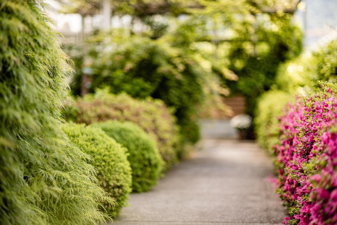 Garden Residence 라나 외부 사진